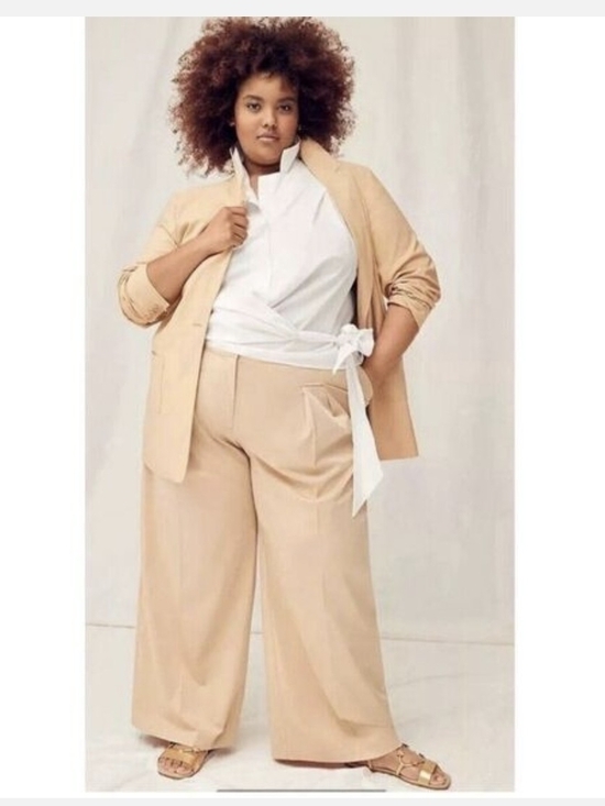 Lane Bryant Pants - Lane Bryant Wide-Leg Chino Pants 20L Nwt